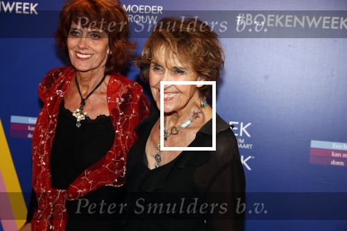 Amsterdam 22 maart 2019
Boekenbal in de amsterdamse schouwburg.