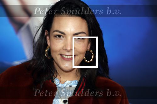 Amsterdam 14 maart 2019
Premiere het nationale ballet in de stopera. Caro Emerald