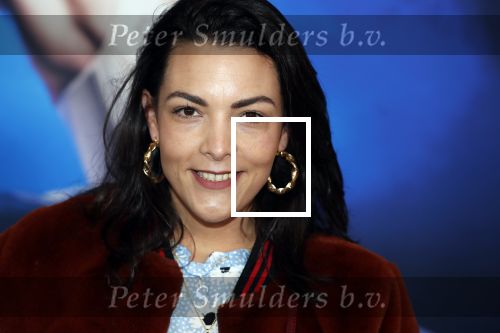Amsterdam 14 maart 2019
Premiere het nationale ballet in de stopera. Caro Emerald