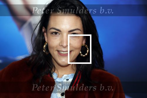 Amsterdam 14 maart 2019
Premiere het nationale ballet in de stopera. Caro Emerald