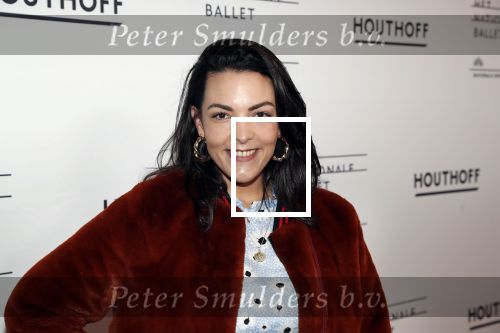 Amsterdam 14 maart 2019
Premiere het nationale ballet in de stopera. Caro Emerald