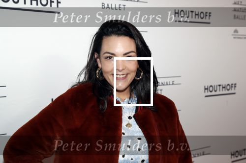Amsterdam 14 maart 2019
Premiere het nationale ballet in de stopera. Caro Emerald