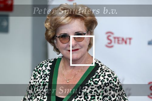 Hoofddorp 31 maart 2019
Premiere stil in mij in de schouwburg in Hoofddorp. Catherine Keyl