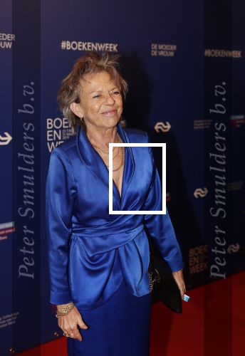 Amsterdam 22 maart 2019
Boekenbal in de amsterdamse schouwburg. Connie Palmen