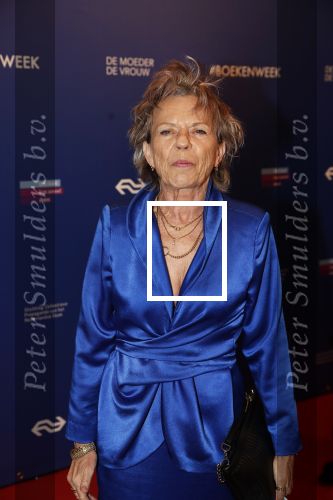 Amsterdam 22 maart 2019
Boekenbal in de amsterdamse schouwburg. Connie Palmen