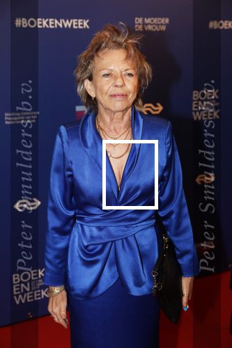 Amsterdam 22 maart 2019
Boekenbal in de amsterdamse schouwburg. Connie Palmen