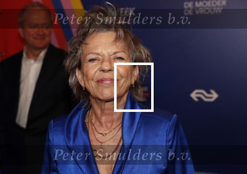 Amsterdam 22 maart 2019
Boekenbal in de amsterdamse schouwburg. Connie Palmen