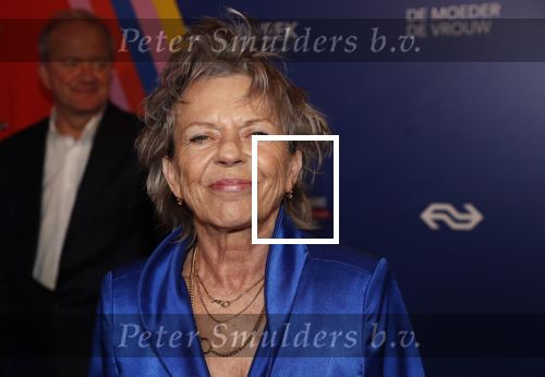 Amsterdam 22 maart 2019
Boekenbal in de amsterdamse schouwburg. Connie Palmen