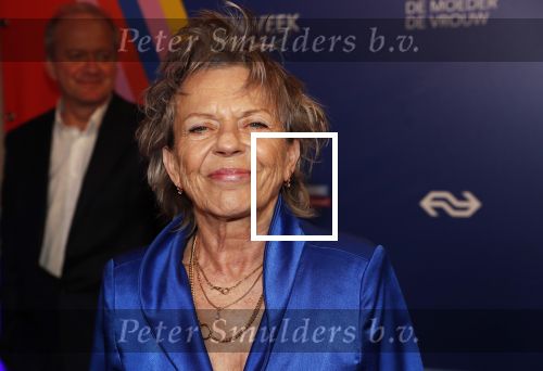 Amsterdam 22 maart 2019
Boekenbal in de amsterdamse schouwburg. Connie Palmen