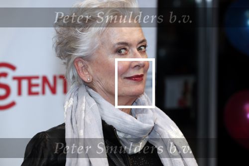 Hoofddorp 31 maart 2019
Premiere stil in mij in de schouwburg in Hoofddorp. Doris Baaten