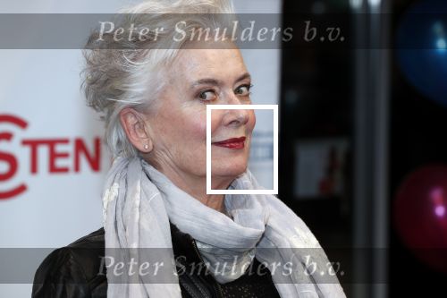 Hoofddorp 31 maart 2019
Premiere stil in mij in de schouwburg in Hoofddorp. Doris Baaten