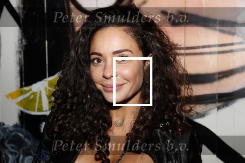 Amsterdam 26 maart 2019
Presentatie Amsterdam XXXL bij de Harbour Club. Fajah Lourens