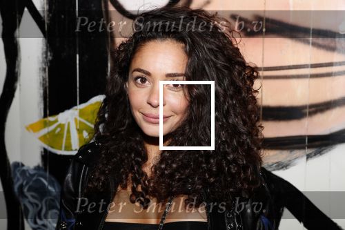 Amsterdam 26 maart 2019
Presentatie Amsterdam XXXL bij de Harbour Club. Fajah Lourens