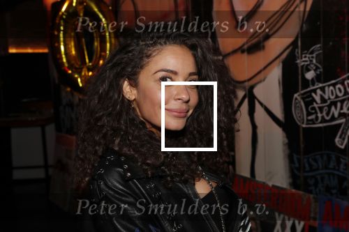 Amsterdam 26 maart 2019
Presentatie Amsterdam XXXL bij de Harbour Club. Fajah Lourens