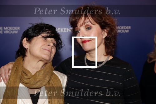 Amsterdam 22 maart 2019
Boekenbal in de amsterdamse schouwburg. Frederique Spigt en Sanne Wallis de Vries