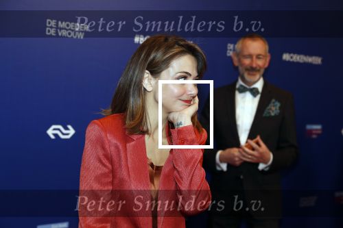 Amsterdam 22 maart 2019
Boekenbal in de amsterdamse schouwburg. Georgina Verbaan