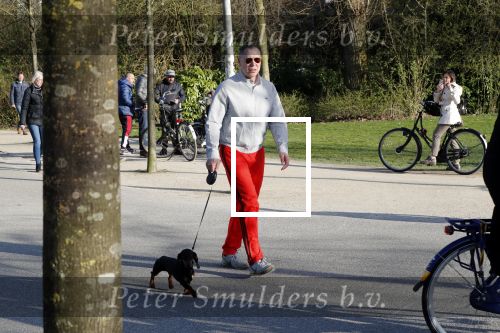 Amsterdam 24 april 2019
Hans Kesting met zijn hond in het vondelpark.