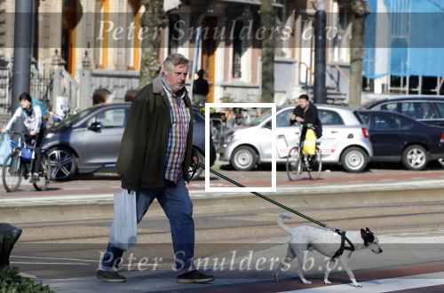 Amsterdam 1 april 2019
Hans v d Togt met zijn hondje op terras en aan het wandelen.