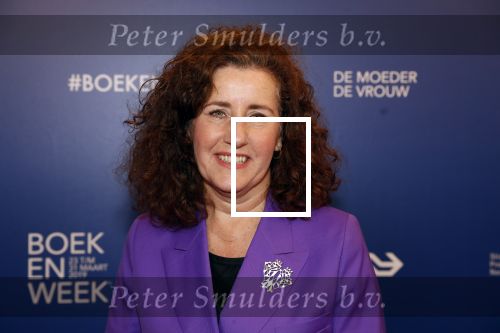 Amsterdam 22 maart 2019
Boekenbal in de amsterdamse schouwburg. Ingrid v Engelshoven