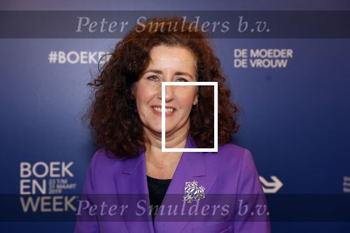 Amsterdam 22 maart 2019
Boekenbal in de amsterdamse schouwburg. Ingrid v Engelshoven