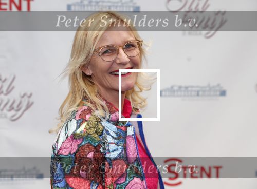 Hoofddorp 31 maart 2019
Premiere stil in mij in de schouwburg in Hoofddorp. Irma Knol ( moeder Enzo Knol)