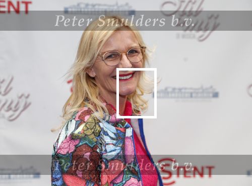 Hoofddorp 31 maart 2019
Premiere stil in mij in de schouwburg in Hoofddorp. Irma Knol ( moeder Enzo Knol)