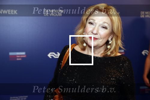 Amsterdam 22 maart 2019
Boekenbal in de amsterdamse schouwburg. 
Janny v d Heijden