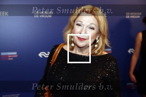Amsterdam 22 maart 2019
Boekenbal in de amsterdamse schouwburg. 
Janny v d Heijden