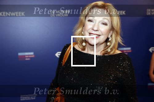 Amsterdam 22 maart 2019
Boekenbal in de amsterdamse schouwburg. 
Janny v d Heijden