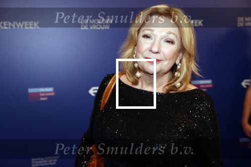 Amsterdam 22 maart 2019
Boekenbal in de amsterdamse schouwburg. 
Janny v d Heijden