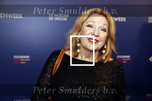 Amsterdam 22 maart 2019
Boekenbal in de amsterdamse schouwburg. 
Janny v d Heijden