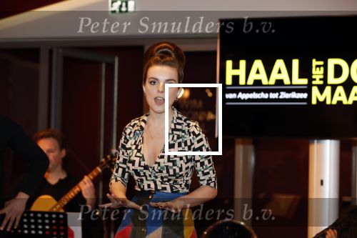 Amsterdam 25 maart 2019
Julia Berendse, Dook van Dijck, Mariska van Kolck, Tony Neef, Willemijn Maandag en Jordy van Loon bij de perspresentatie van de musical Haal het doek maar op in het DeLaMar Theater in Amsterdam