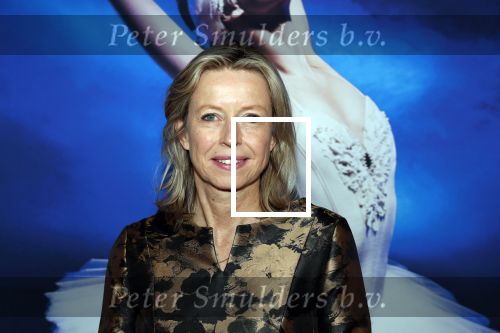 Amsterdam 14 maart 2019
Premiere het nationale ballet in de stopera. Kajsa Ollongren met een nichtje