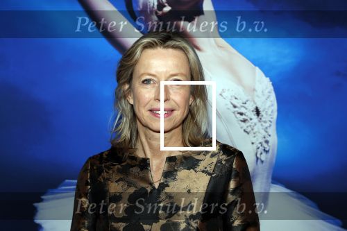 Amsterdam 14 maart 2019
Premiere het nationale ballet in de stopera. Kajsa Ollongren met een nichtje