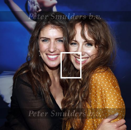 Amsterdam 14 maart 2019
Premiere het nationale ballet in de stopera. Marieke Elsinga kwam met een vriendin
