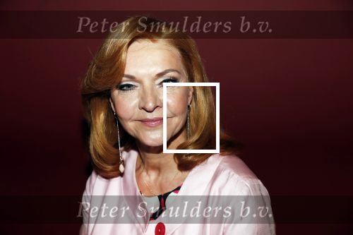 Amsterdam 25 maart 2019
Julia Berendse, Dook van Dijck, Mariska van Kolck, Tony Neef, Willemijn Maandag en Jordy van Loon bij de perspresentatie van de musical Haal het doek maar op in het DeLaMar Theater in Amsterdam