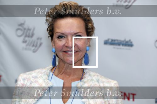 Hoofddorp 31 maart 2019
Premiere stil in mij in de schouwburg in Hoofddorp. Mariska v Kolck