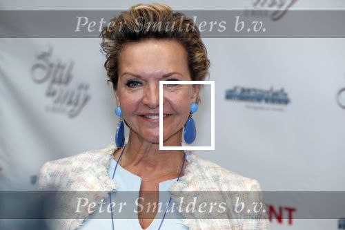 Hoofddorp 31 maart 2019
Premiere stil in mij in de schouwburg in Hoofddorp. Mariska v Kolck