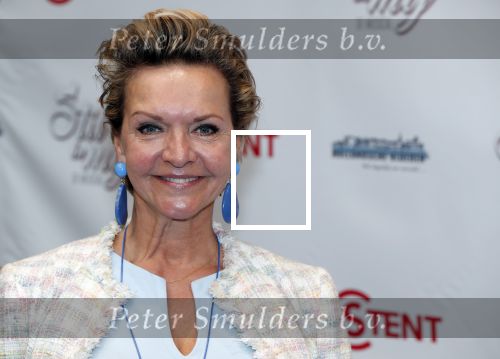 Hoofddorp 31 maart 2019
Premiere stil in mij in de schouwburg in Hoofddorp. Mariska v Kolck