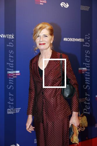 Amsterdam 22 maart 2019
Boekenbal in de amsterdamse schouwburg. 
Mieke v d Weij