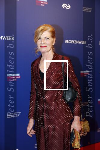 Amsterdam 22 maart 2019
Boekenbal in de amsterdamse schouwburg. 
Mieke v d Weij