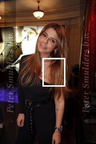 Amsterdam 22 maart 2019
Boekenbal in de amsterdamse schouwburg. Olcay Gulsen