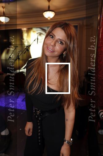 Amsterdam 22 maart 2019
Boekenbal in de amsterdamse schouwburg. Olcay Gulsen