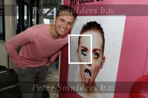 Hoorn 24 maart 2019
Premiere Pip Pellens in schouwburg van Zaandam.  Pim Wessels