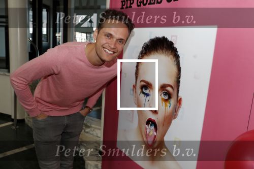 Hoorn 24 maart 2019
Premiere Pip Pellens in schouwburg van Zaandam.  Pim Wessels
