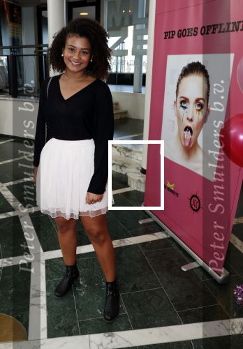 Hoorn 24 maart 2019
Premiere Pip Pellens in schouwburg van Zaandam.