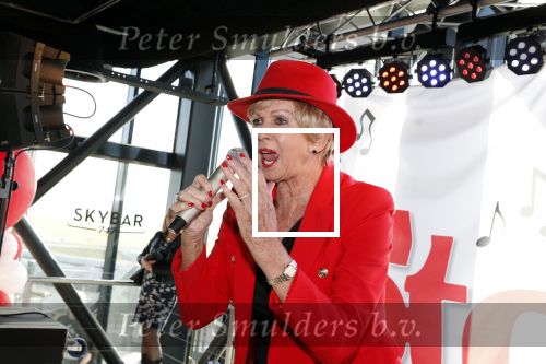 Badhoevedorp 31 maart 2019
Story muziekfeest in het corendon hotel bij schiphol.
Ria Valk