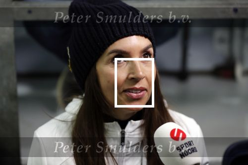 Heerenveen 17 maart 2019
De hollandse 100 voor de stichting lymphe&Co in Thialf.
Rosanna Kluivert