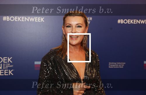 Amsterdam 22 maart 2019
Boekenbal in de amsterdamse schouwburg. Saskia Noort