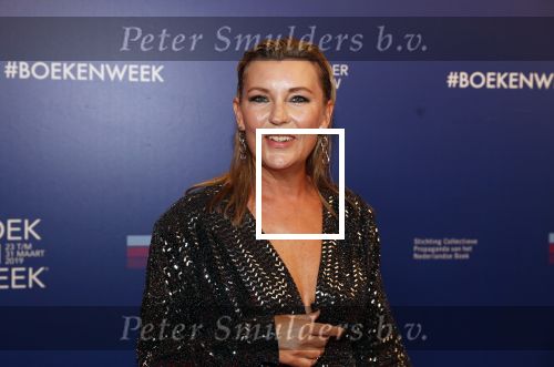 Amsterdam 22 maart 2019
Boekenbal in de amsterdamse schouwburg. Saskia Noort